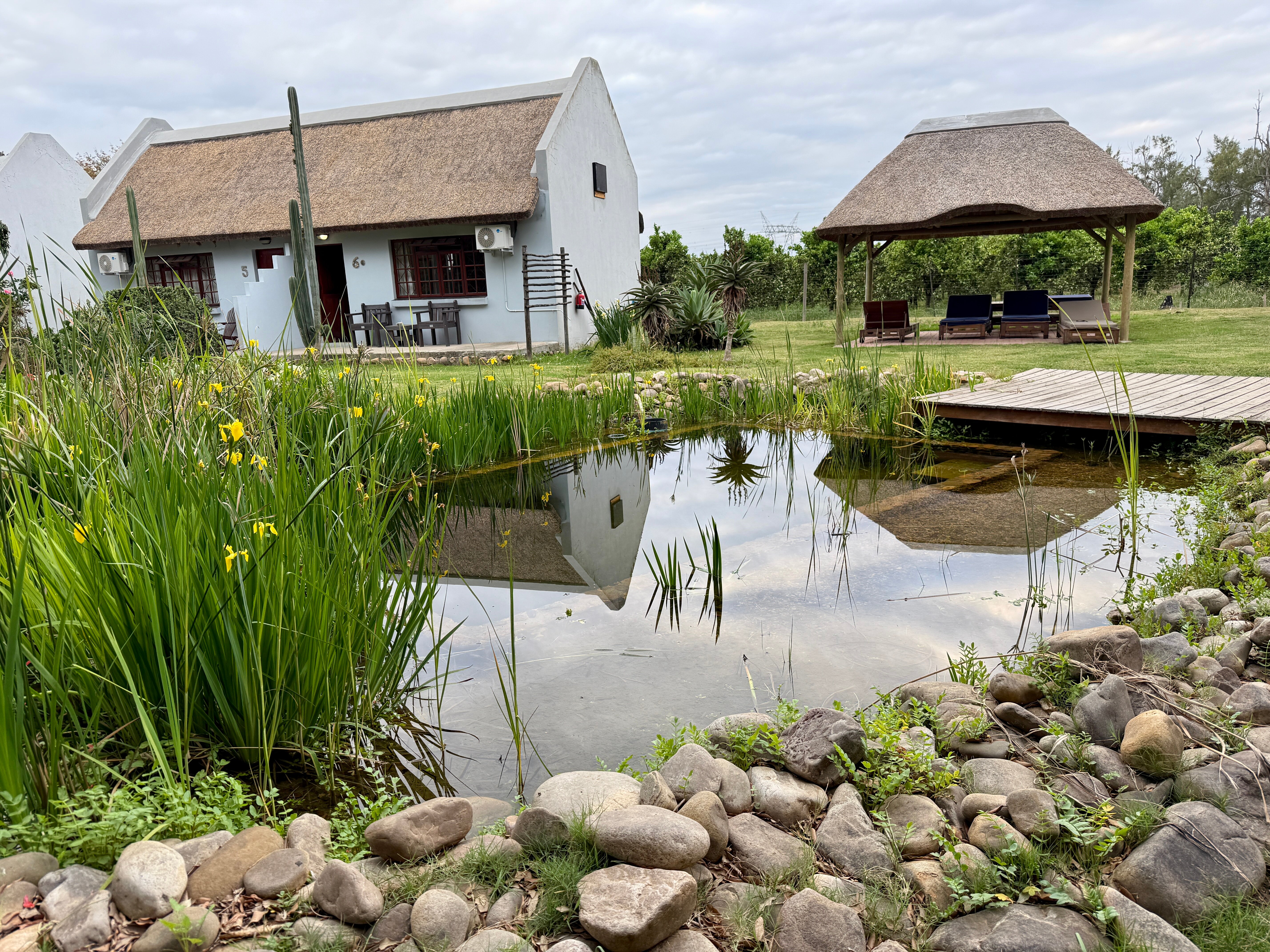 Rosedale Organic Farm B&B-泳池