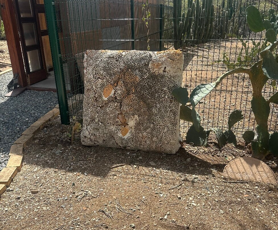 Terrafuse-Noord必去景点