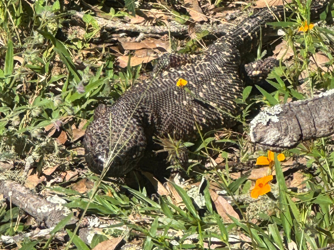 Eco Ride Mountain Bike & Hiking Tours-瓦拉塔港必去景点