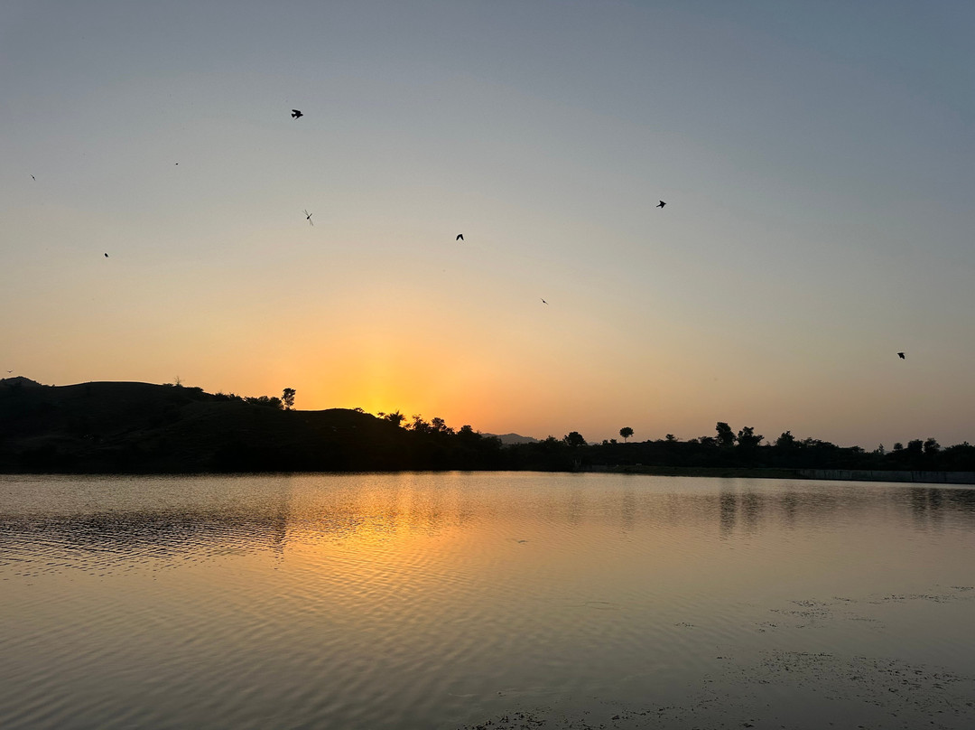 Jhadol Safari Resort主图