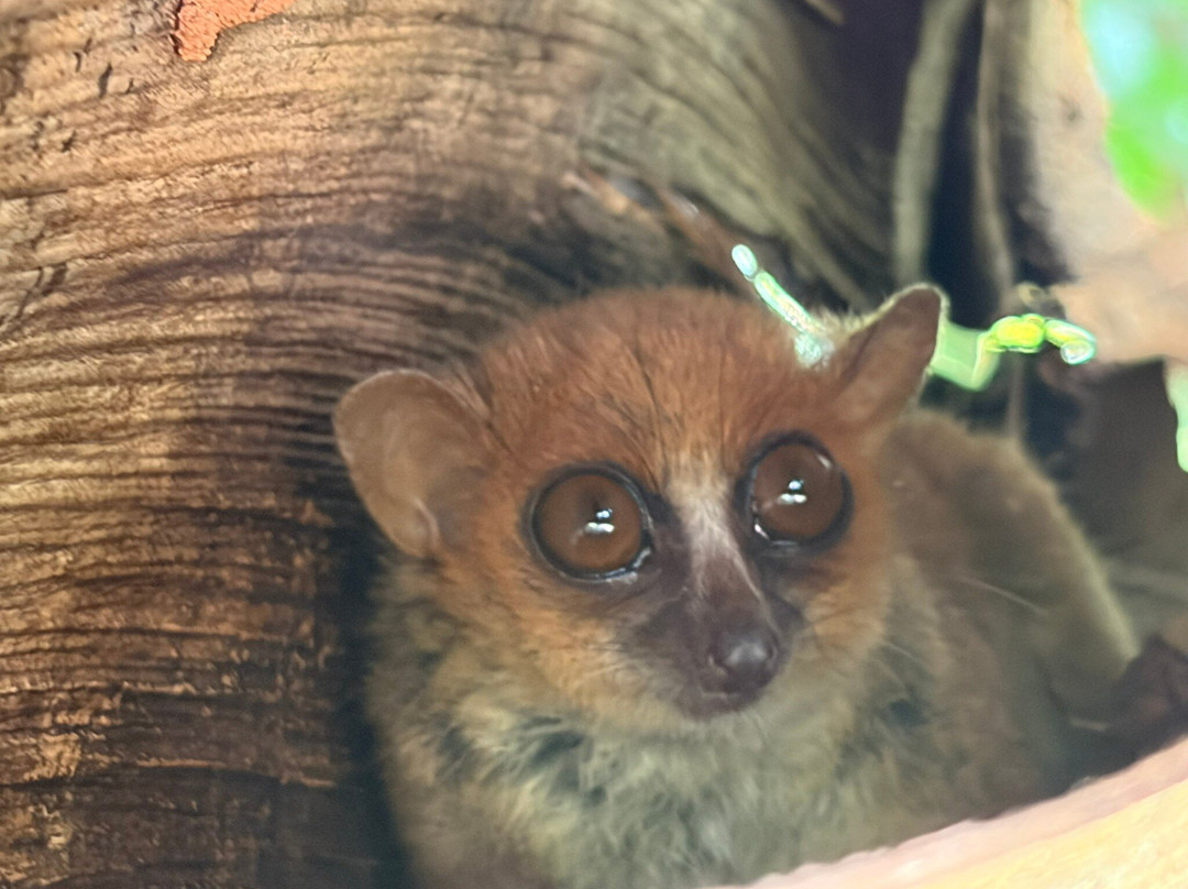 Colours Of Madagascar-Hell-Ville必去景点