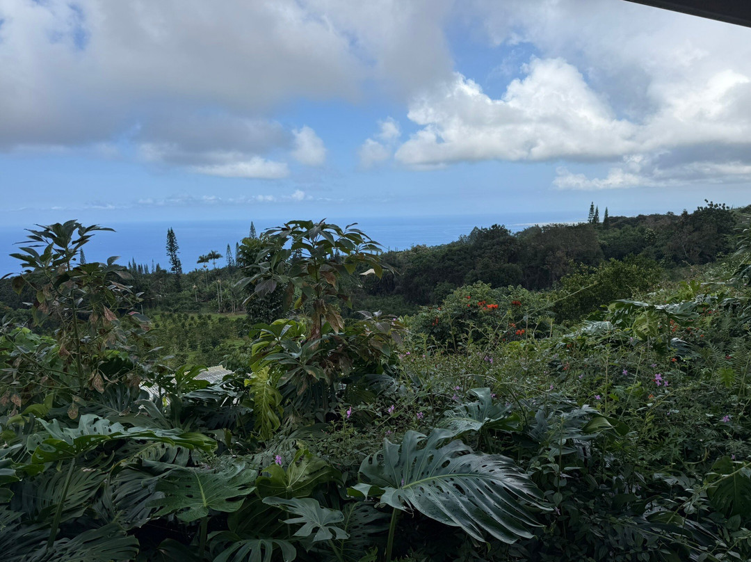 夏威夷仙境农场-哈陆亚洛亚必去景点