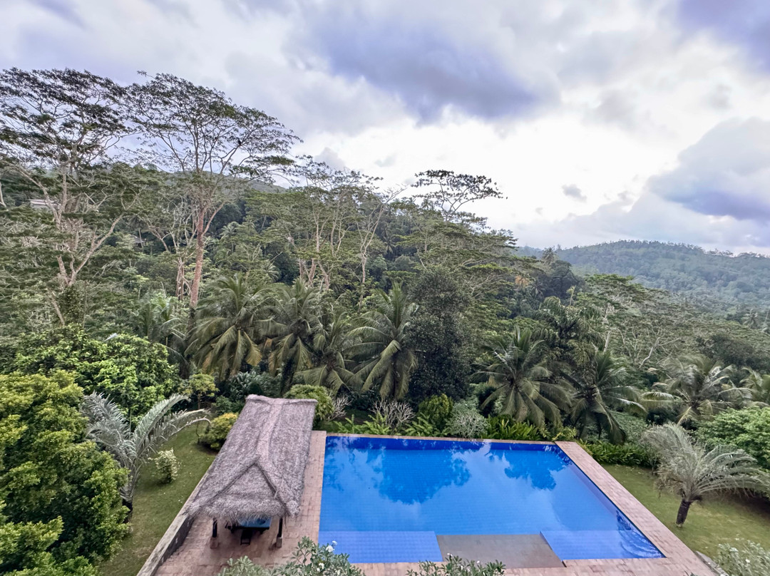 尼娅伽玛屋酒店主图