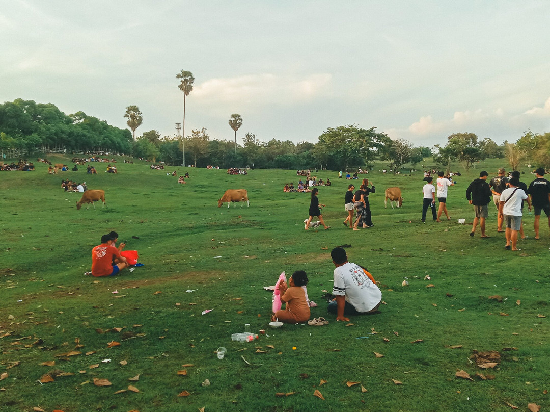 Saba Beach-布拉巴度必去景点
