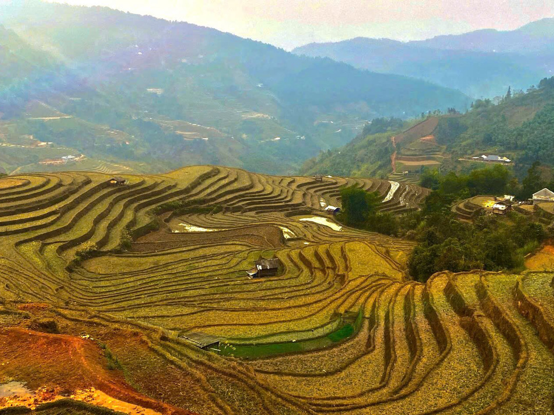 Vietnam Original Travel-胡志明市必去景点