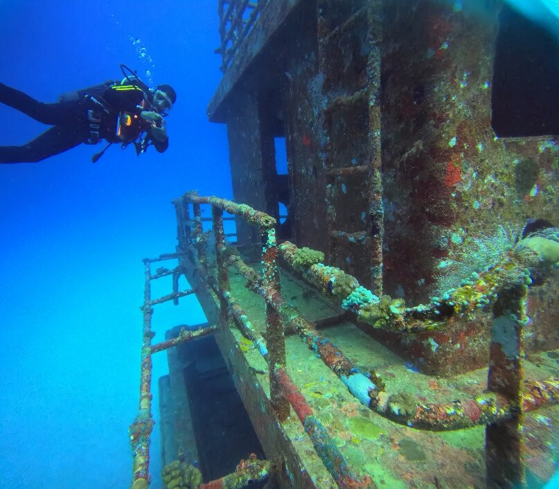 Crystal Diving Centre-贝尔马尔必去景点