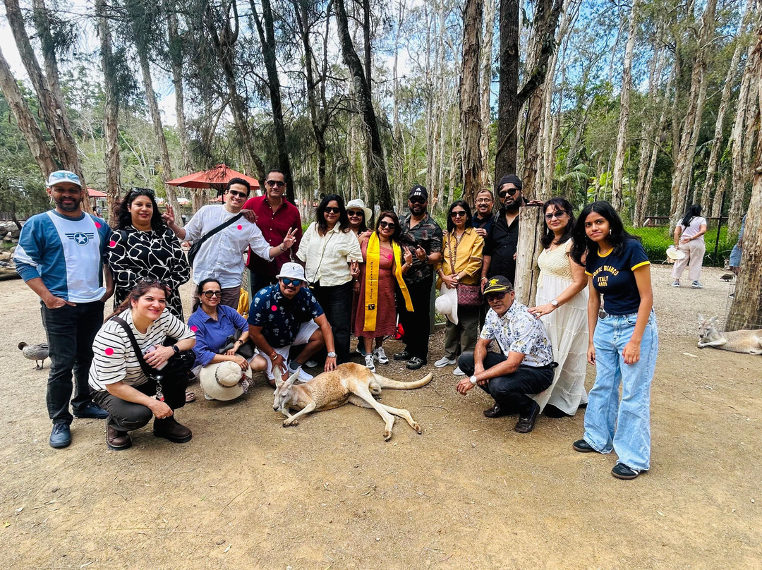 Book My Ranthambore-瑟瓦伊马托布尔必去景点