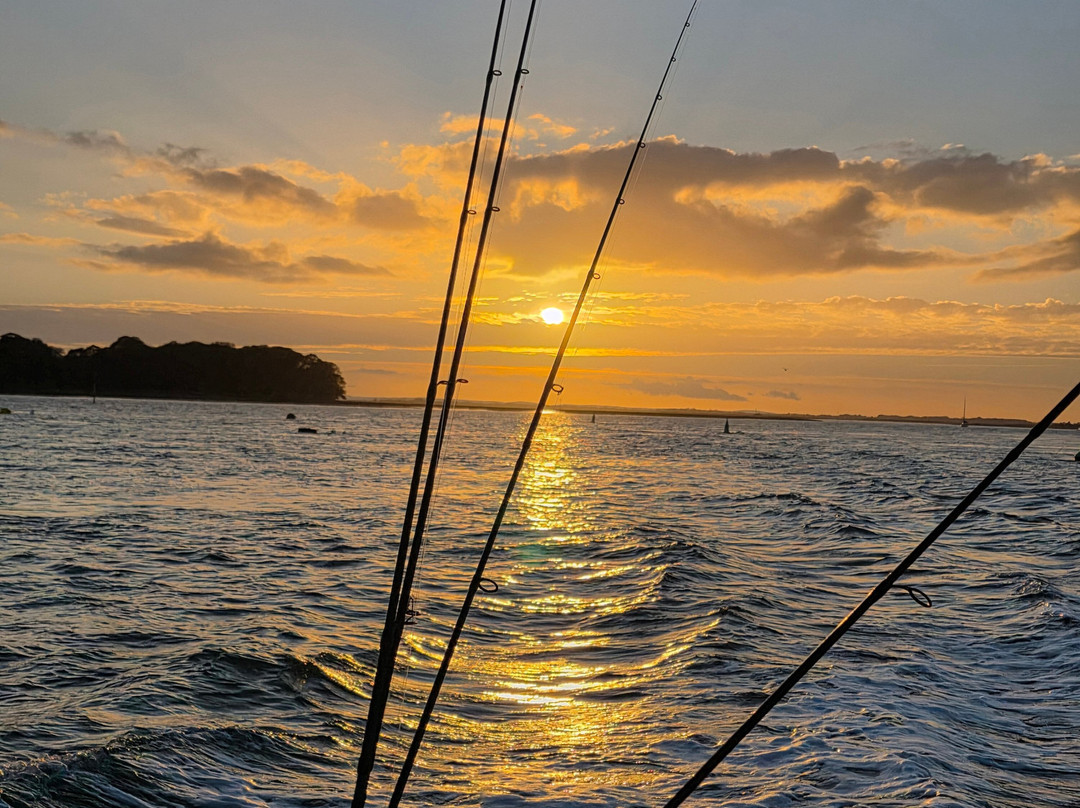 Sussex Sea Charters-West Itchenor必去景点