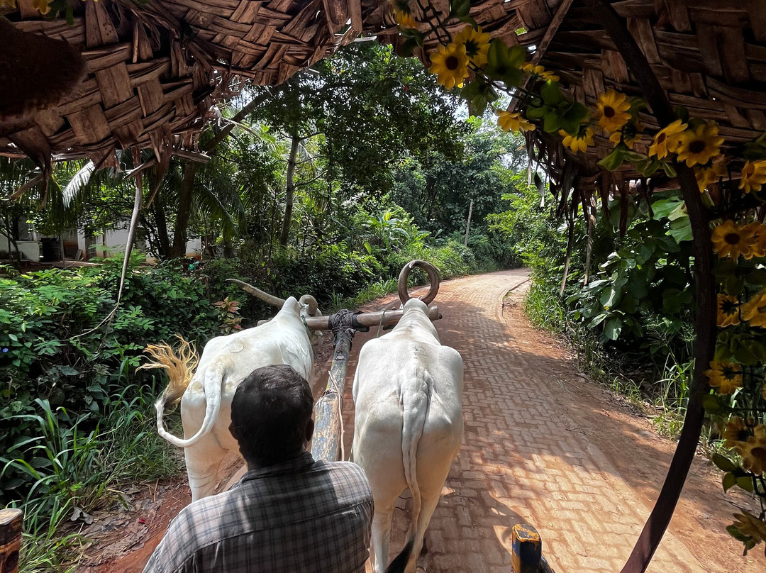 Hiriwadunna Village & Jeep Safari No 4-Hiriwadunna必去景点