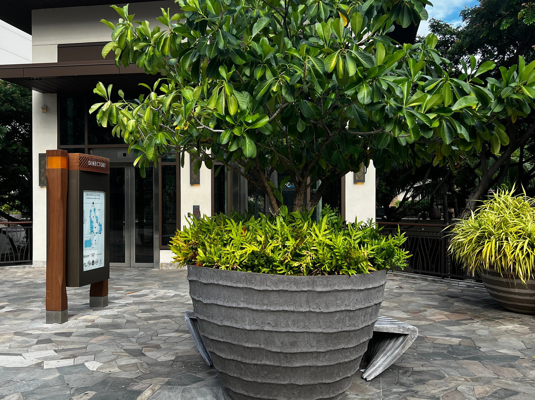 国际市场-火奴鲁鲁必去景点