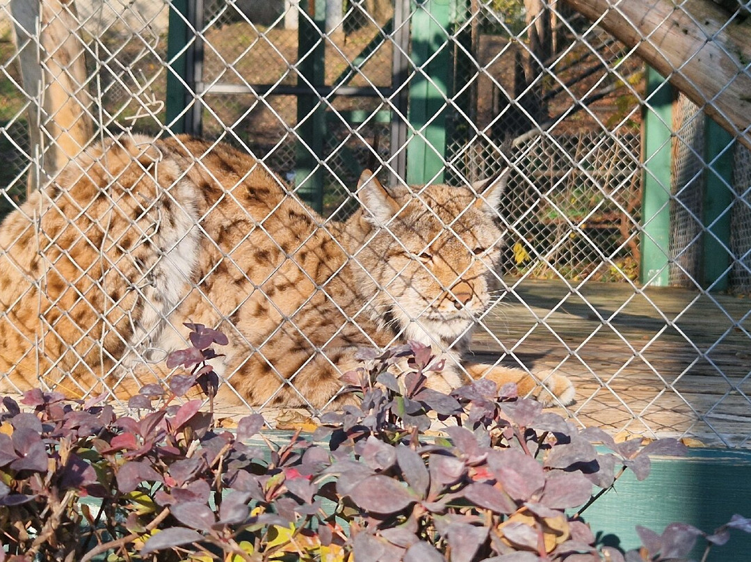 Chisinau Zoo