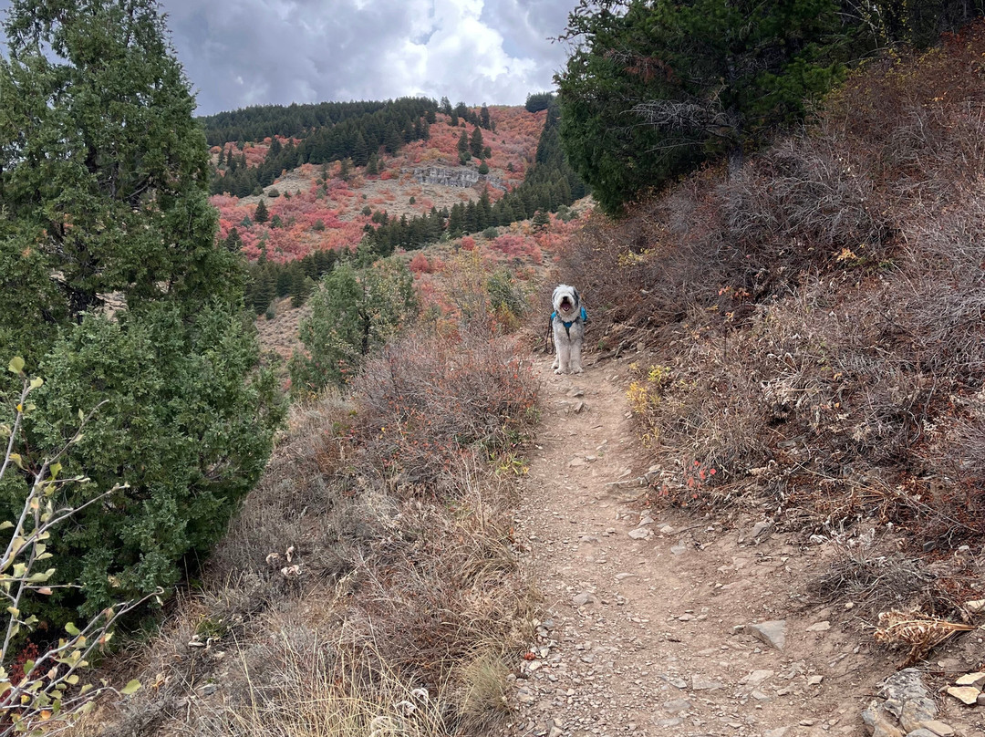 Crimson Trail-洛根必去景点
