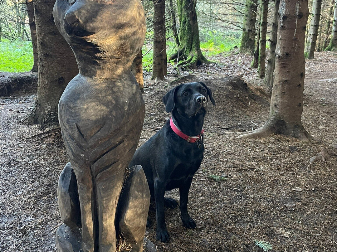 High Force Waterfall-Middleton in Teesdale必去景点