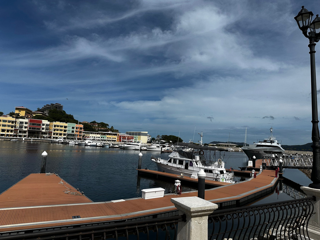 瓜纳卡斯特省旅游景点-Marina Flamingo