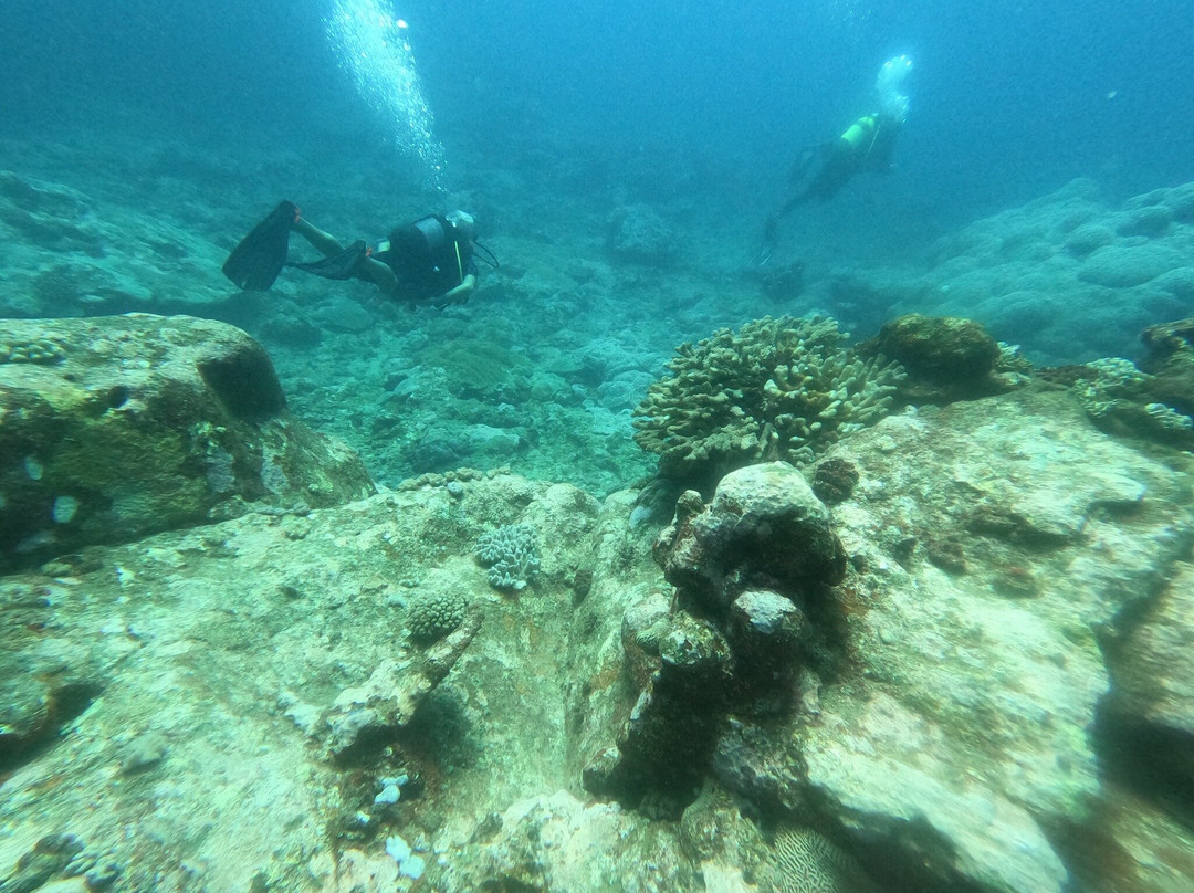 Scuba World Diving Mauritius-马喜埔必去景点