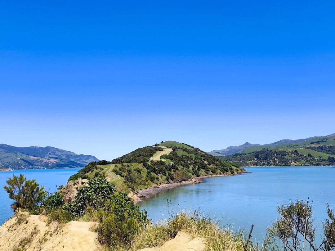 Onawe Track-Duvauchelle必去景点