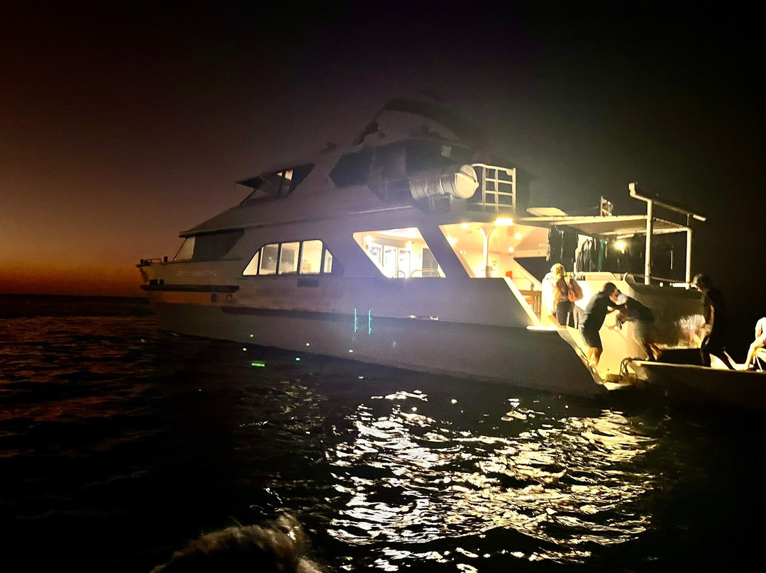 Diversity Charters-布鲁姆必去景点