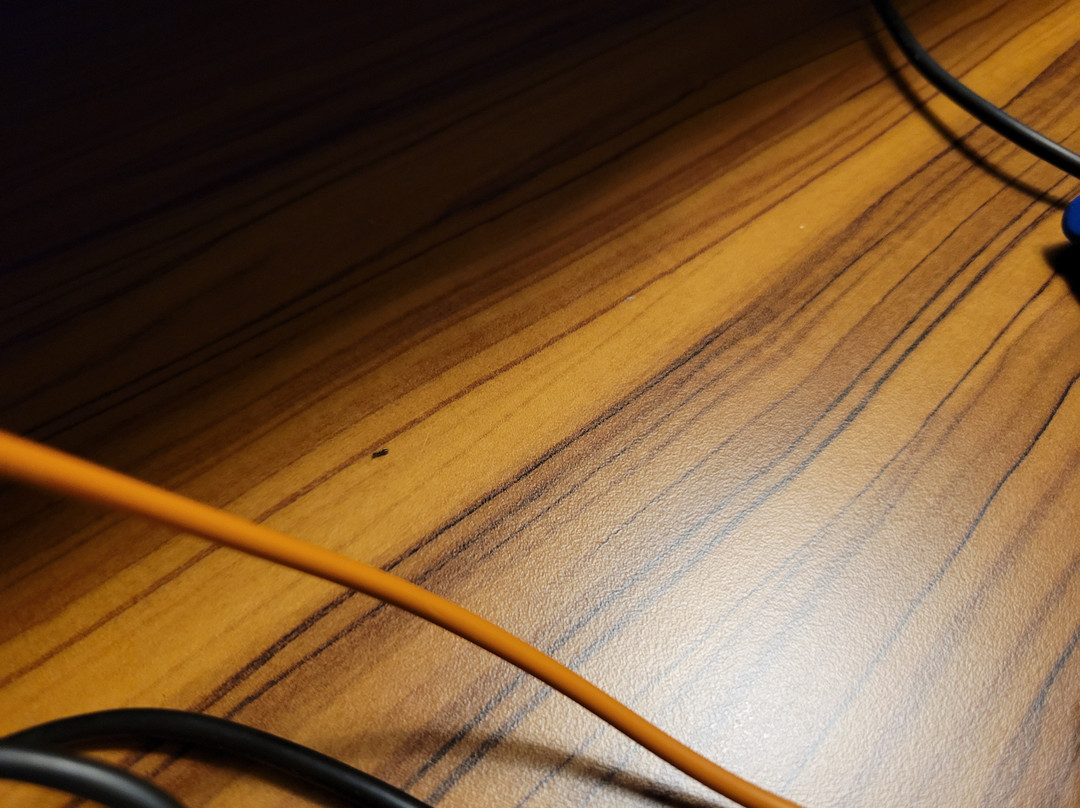 Fairfield Inn & Suites St. Louis Westport主图