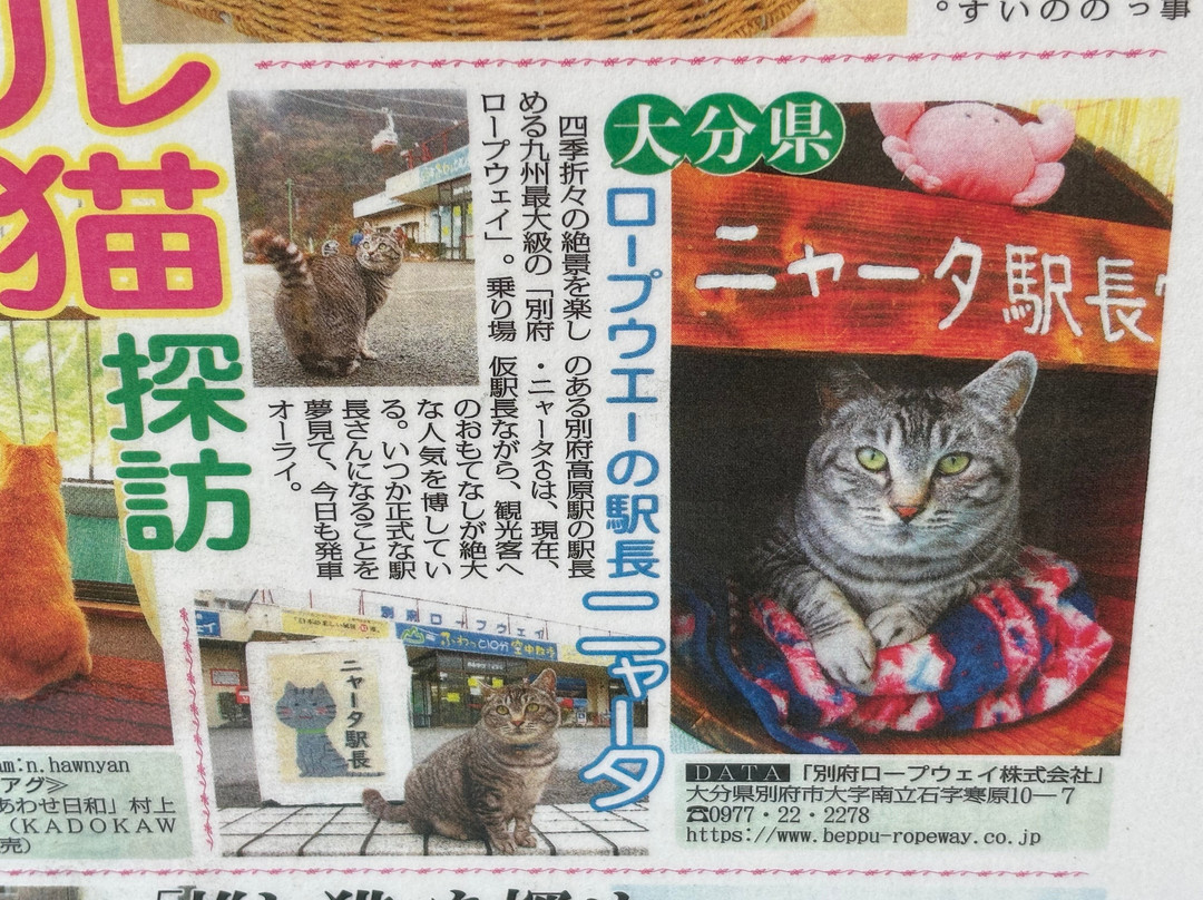 Beppu Ropeway-别府市必去景点