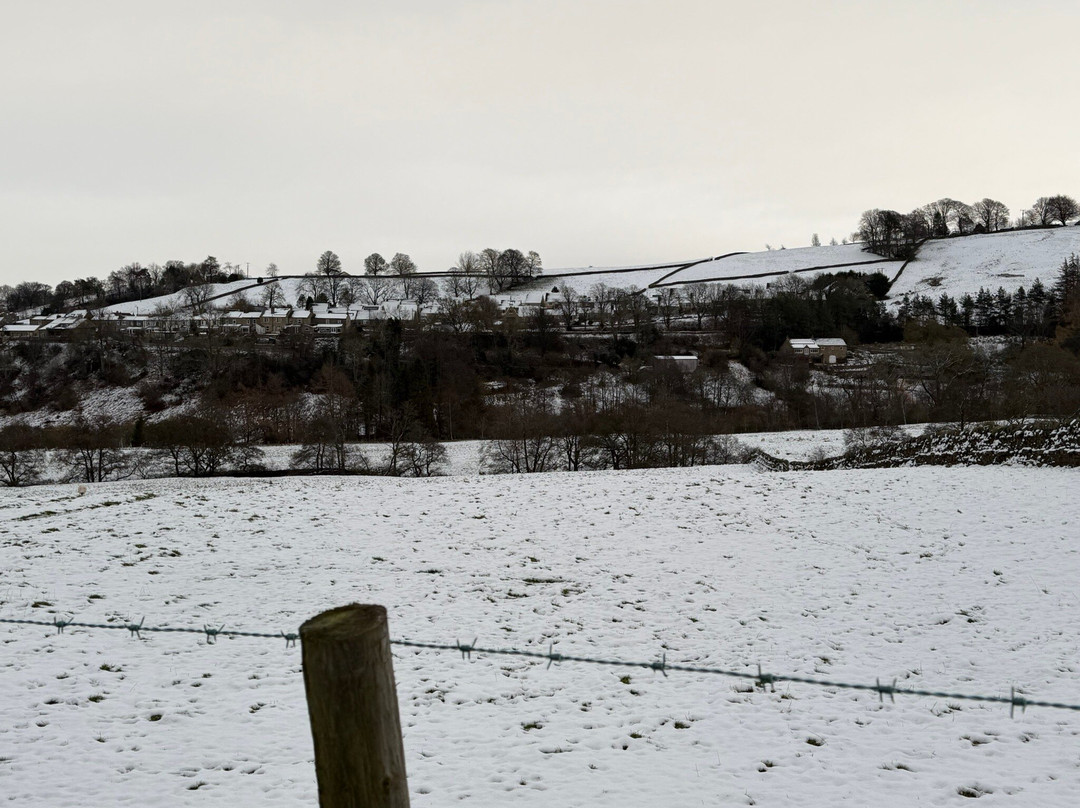 Allendale Tea Rooms B&B主图