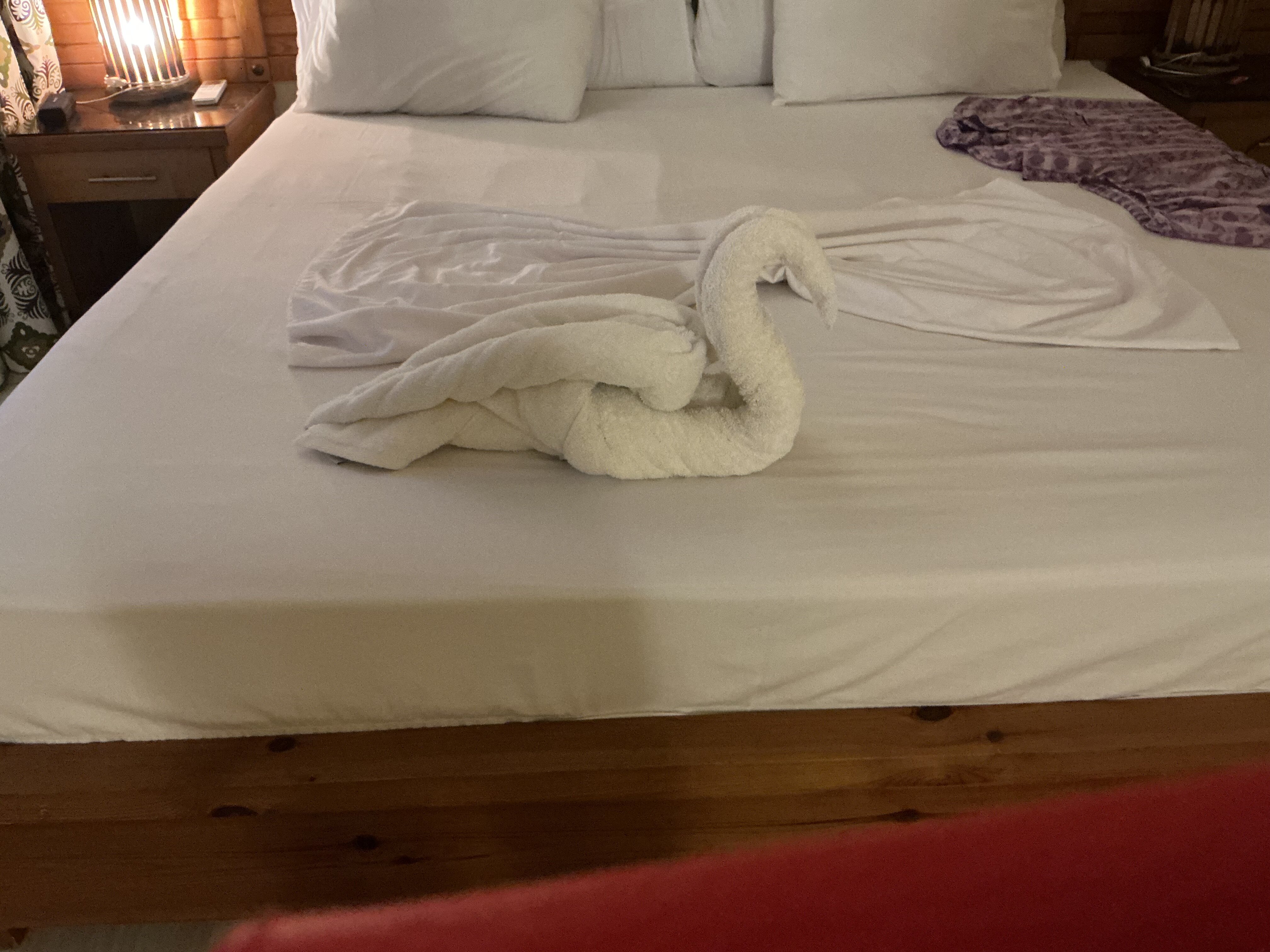 谢赫阿里度假酒店-官方