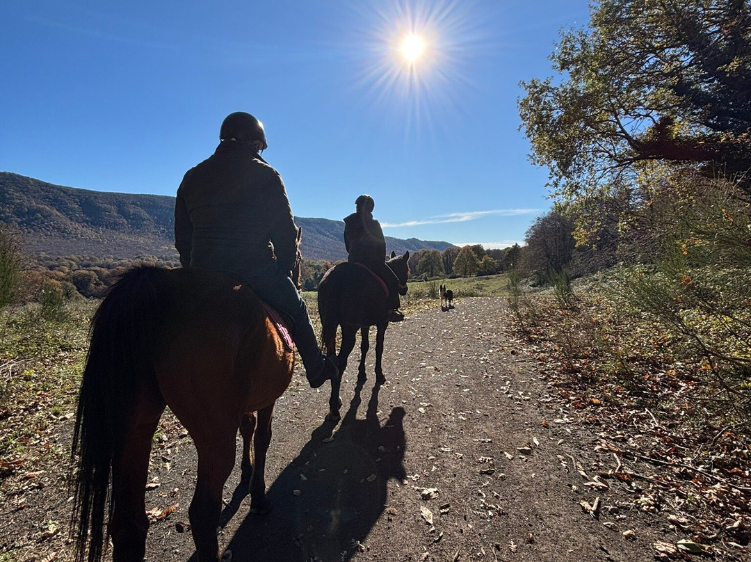 The Fairy Ranch-Rocca di Papa必去景点