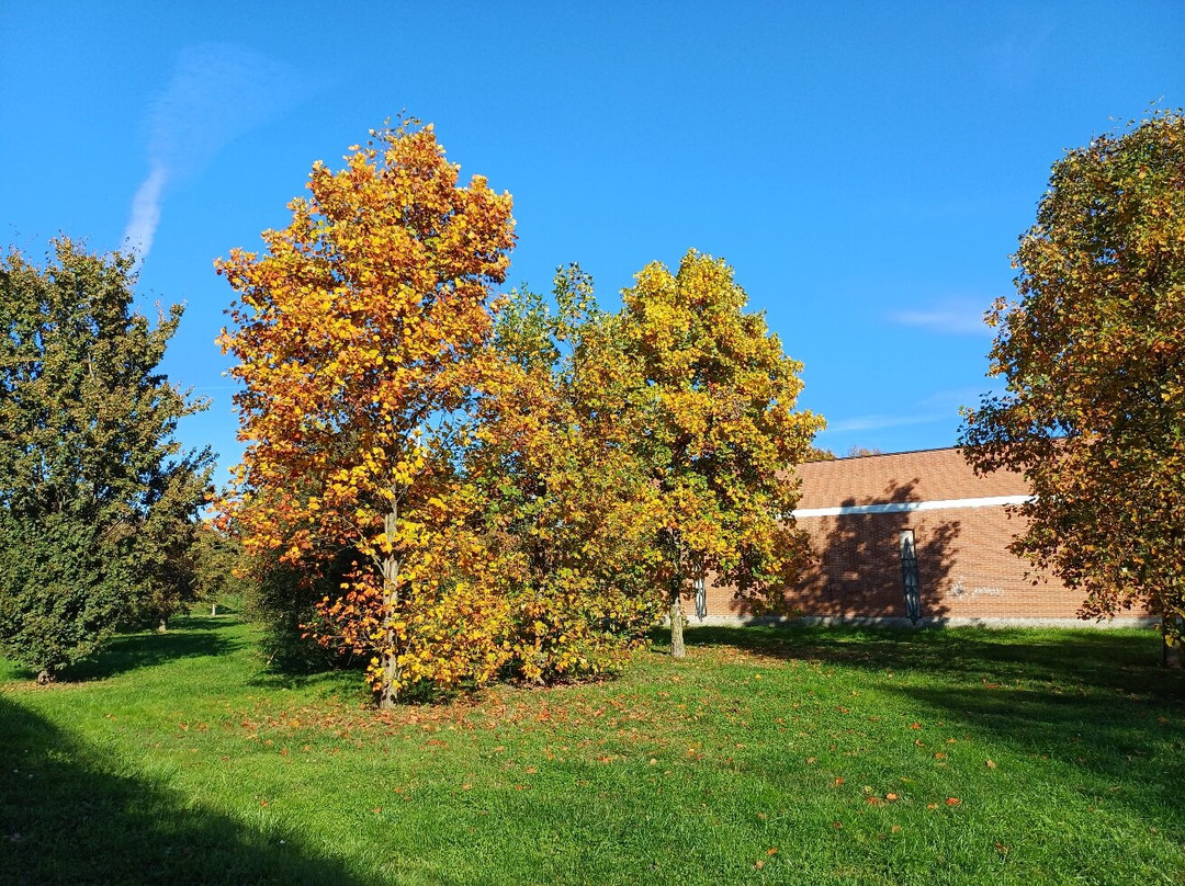 Parco Dei Tigli-切萨诺马代尔诺必去景点