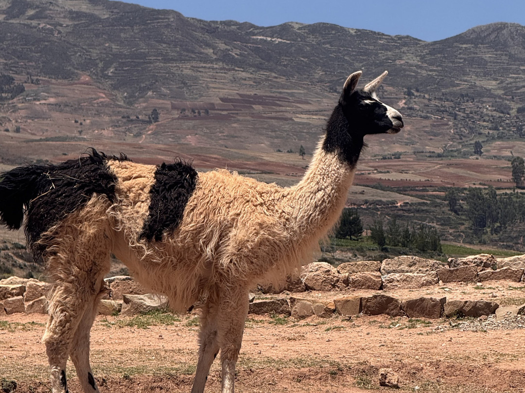 Mountain View Experiences-Maras必去景点