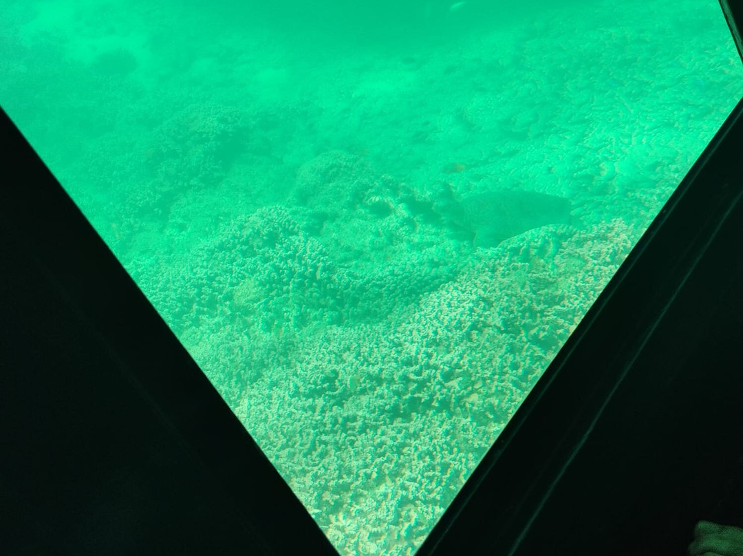 View Ningaloo-埃克斯茅斯必去景点