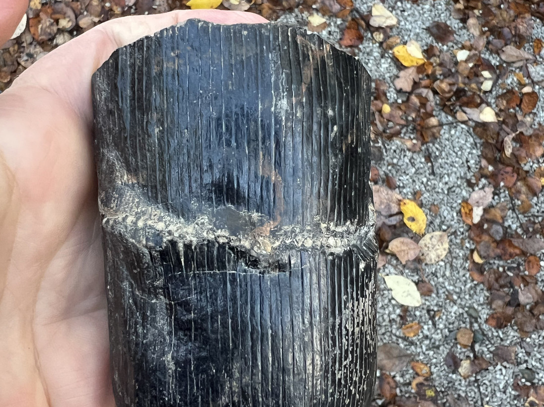 Stori Brymbo-雷克瑟姆必去景点