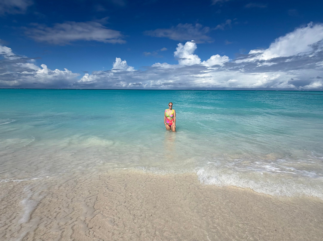 Paradise Excursions-普罗维登西亚莱斯必去景点