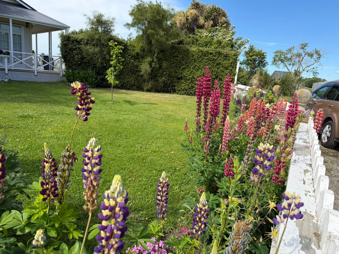 奥利弗农场住宿加早餐旅馆主图