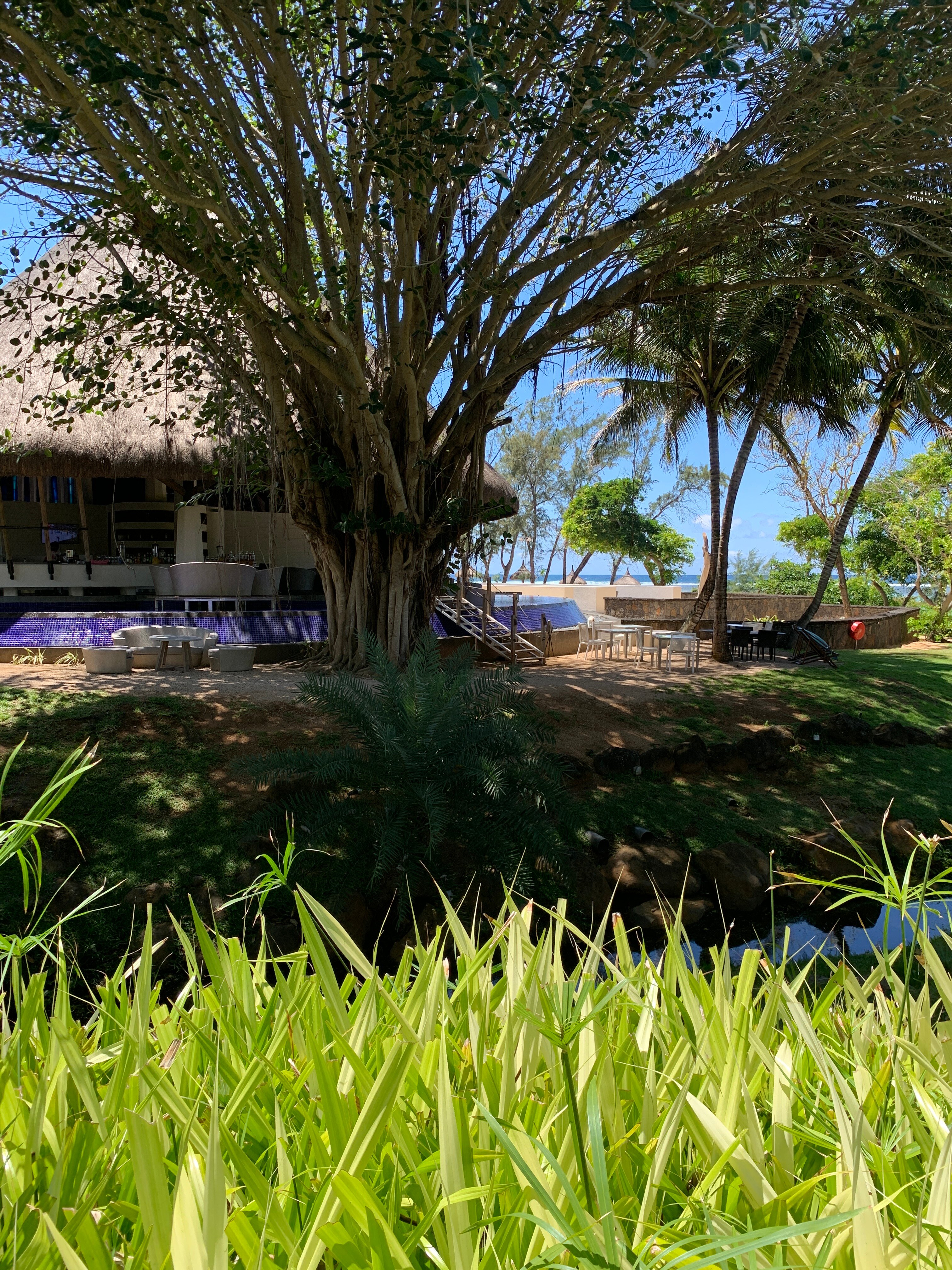 毛里求斯索菲特特色酒店-官方