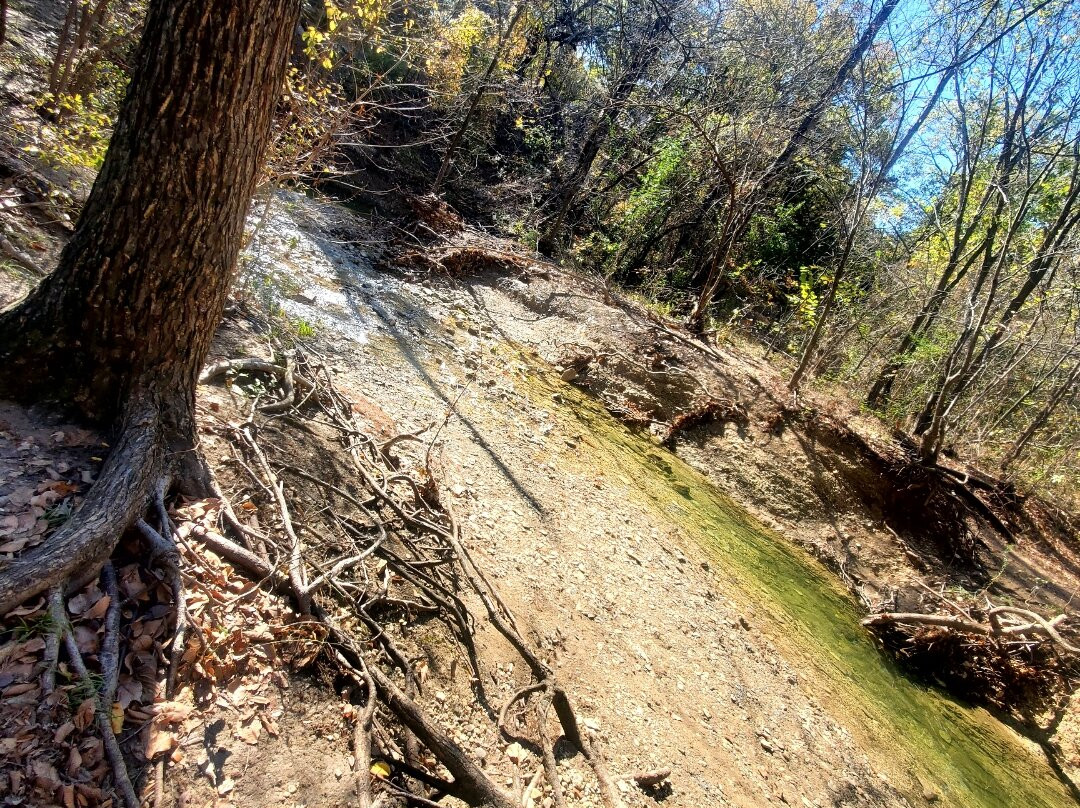Arbor Hills Nature Preserve-普莱诺必去景点