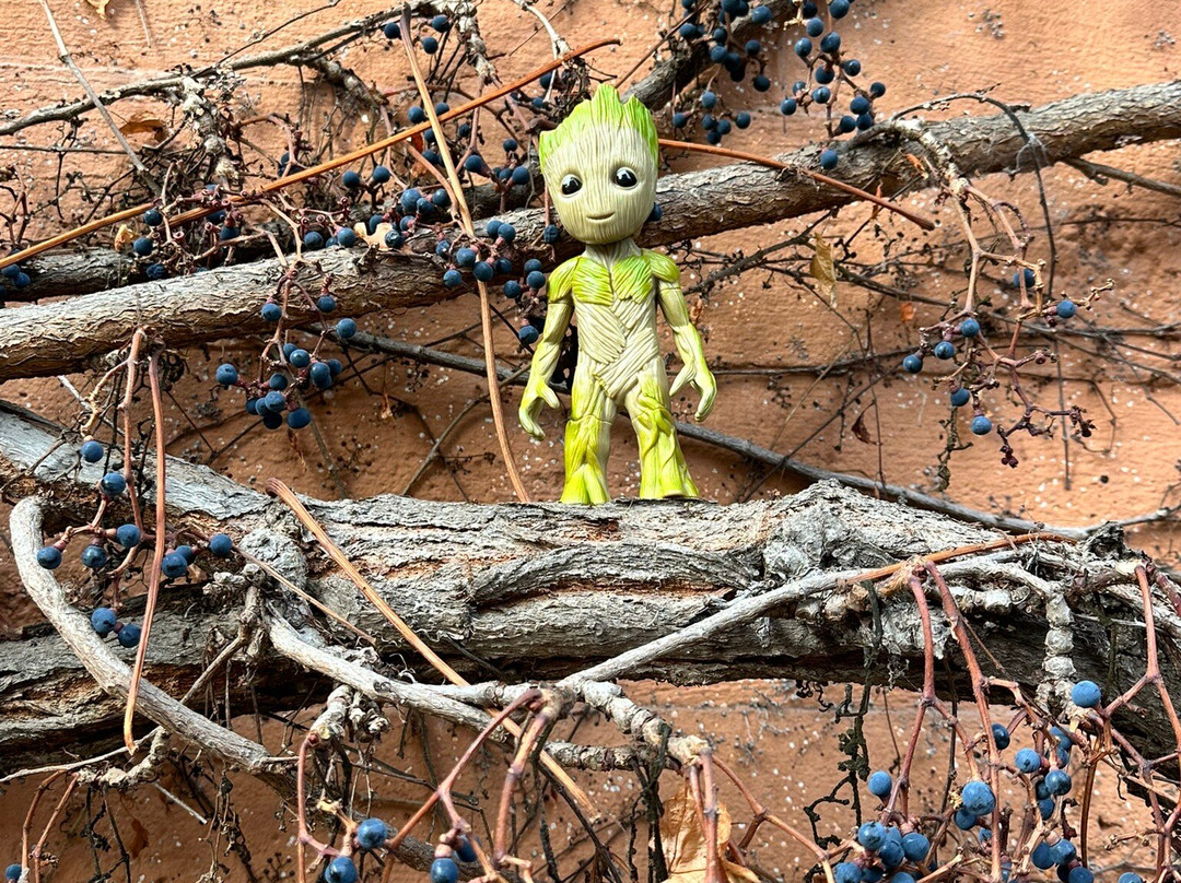 Domaine Albert Seltz-米特贝汉必去景点