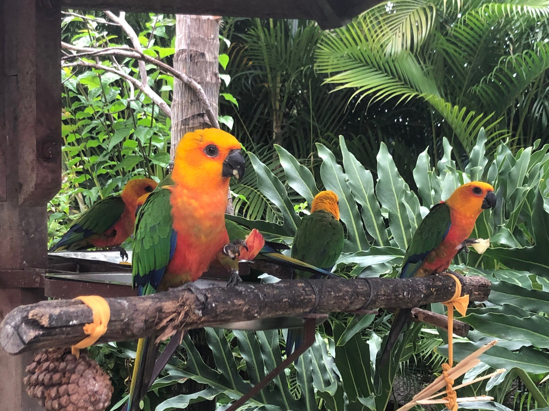 Parque Arvorar-Aquiraz必去景点