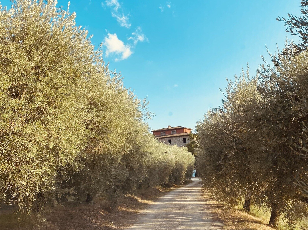 Poggio Molina-Bucine必去景点