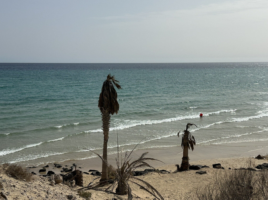 Playa de Sotavento-Costa Calma必去景点