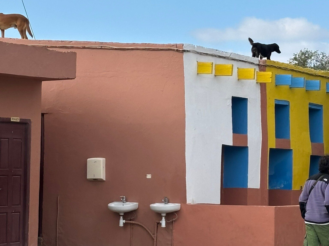 Cooperative Marjana (ARGAN OIL)-索维拉必去景点