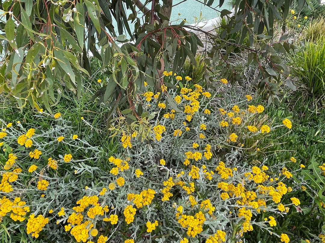 Bruce Comben Reserve-阿尔托纳必去景点