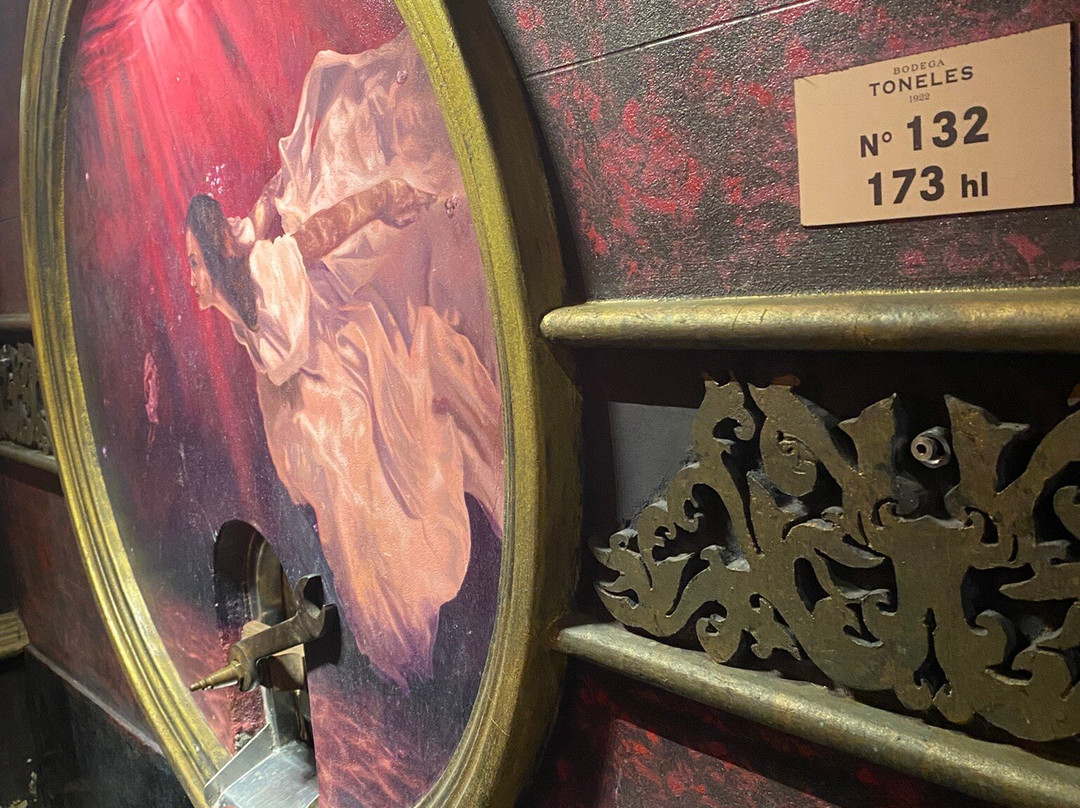 Bodega Los Toneles-门多萨必去景点