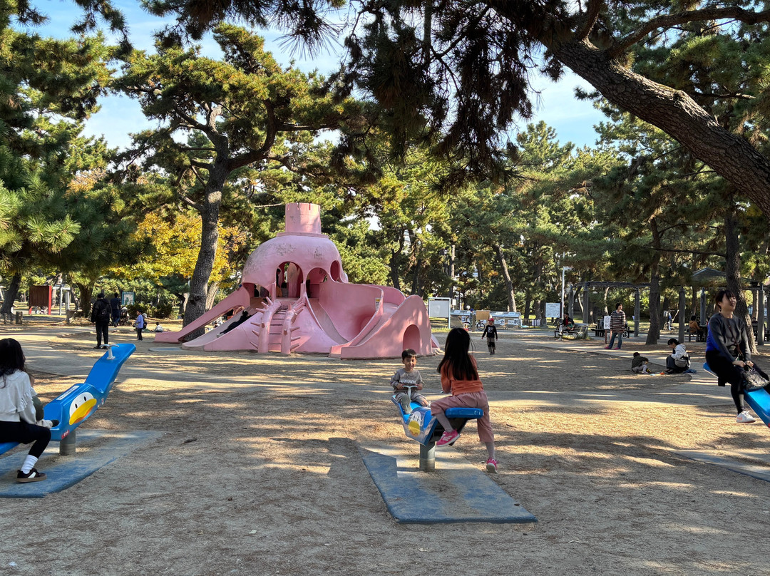 Hamadera Park-坂井市必去景点