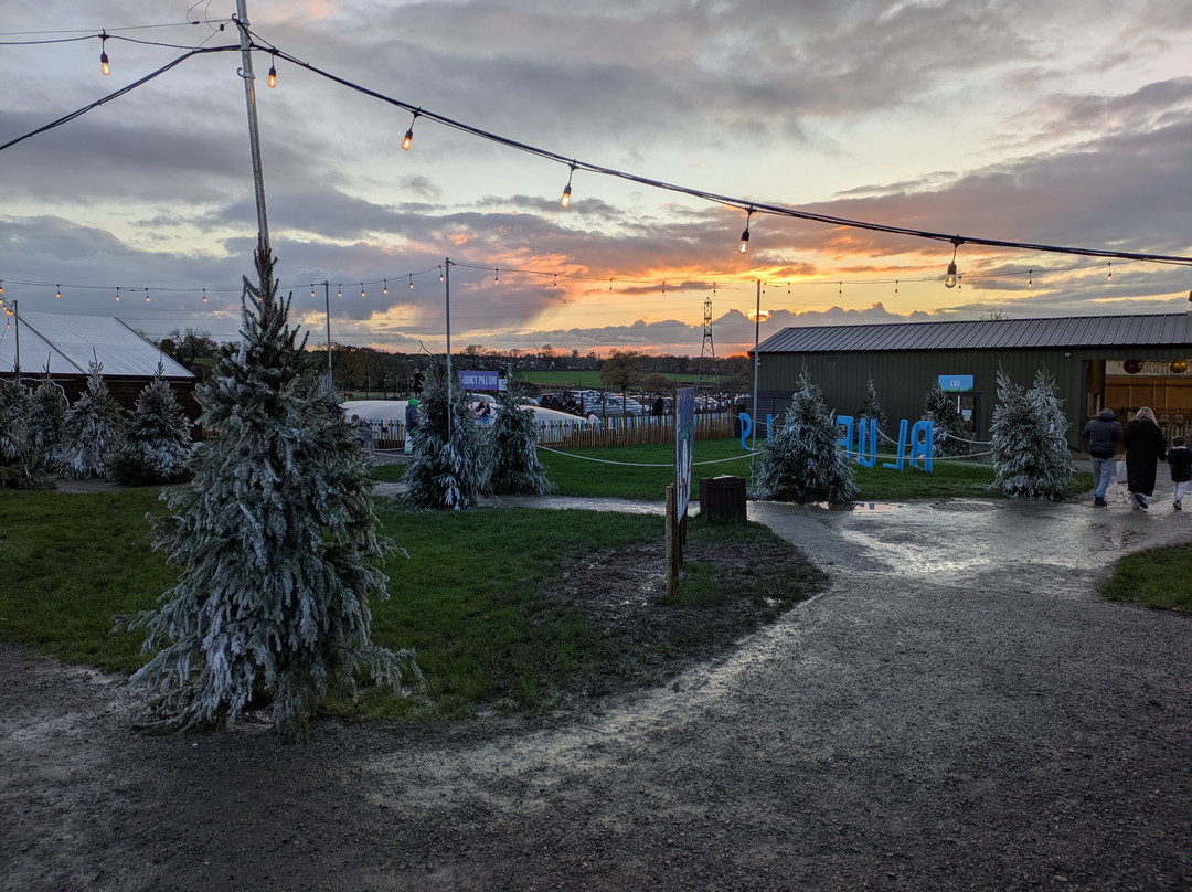 Bluebell Dairy Farm-德比必去景点