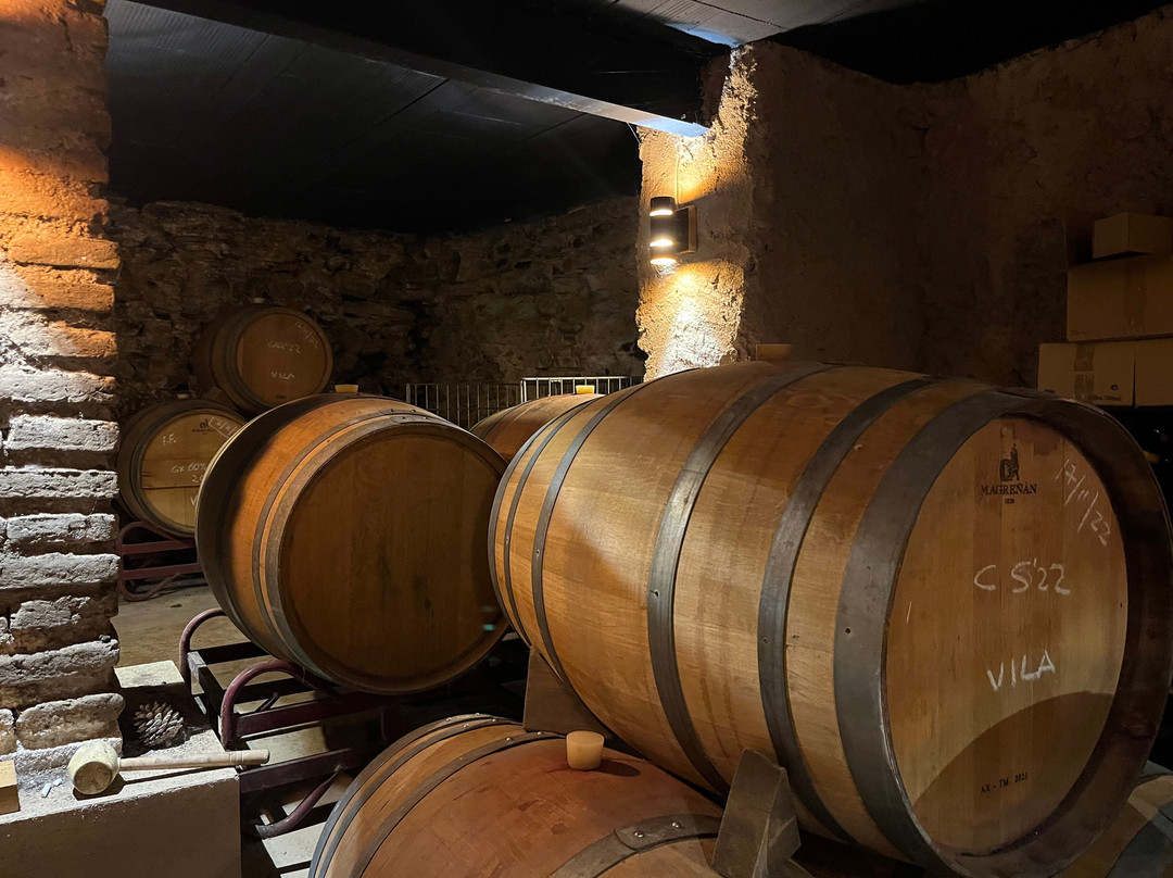 Celler Devinssi-Gratallops必去景点