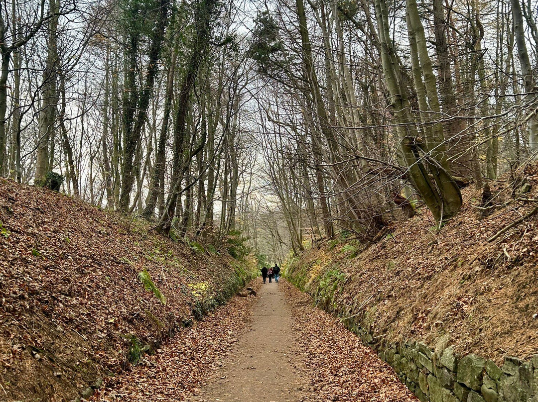 Seaton Park-阿伯丁必去景点