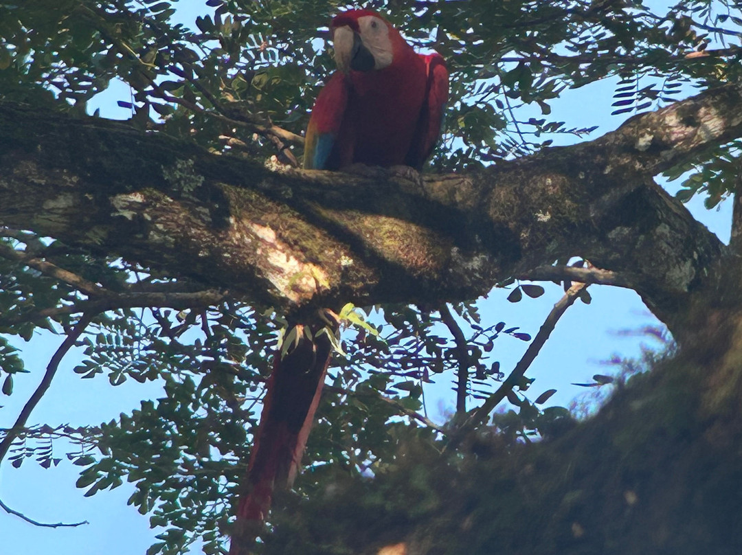 0S3 Private Tours-哈科必去景点