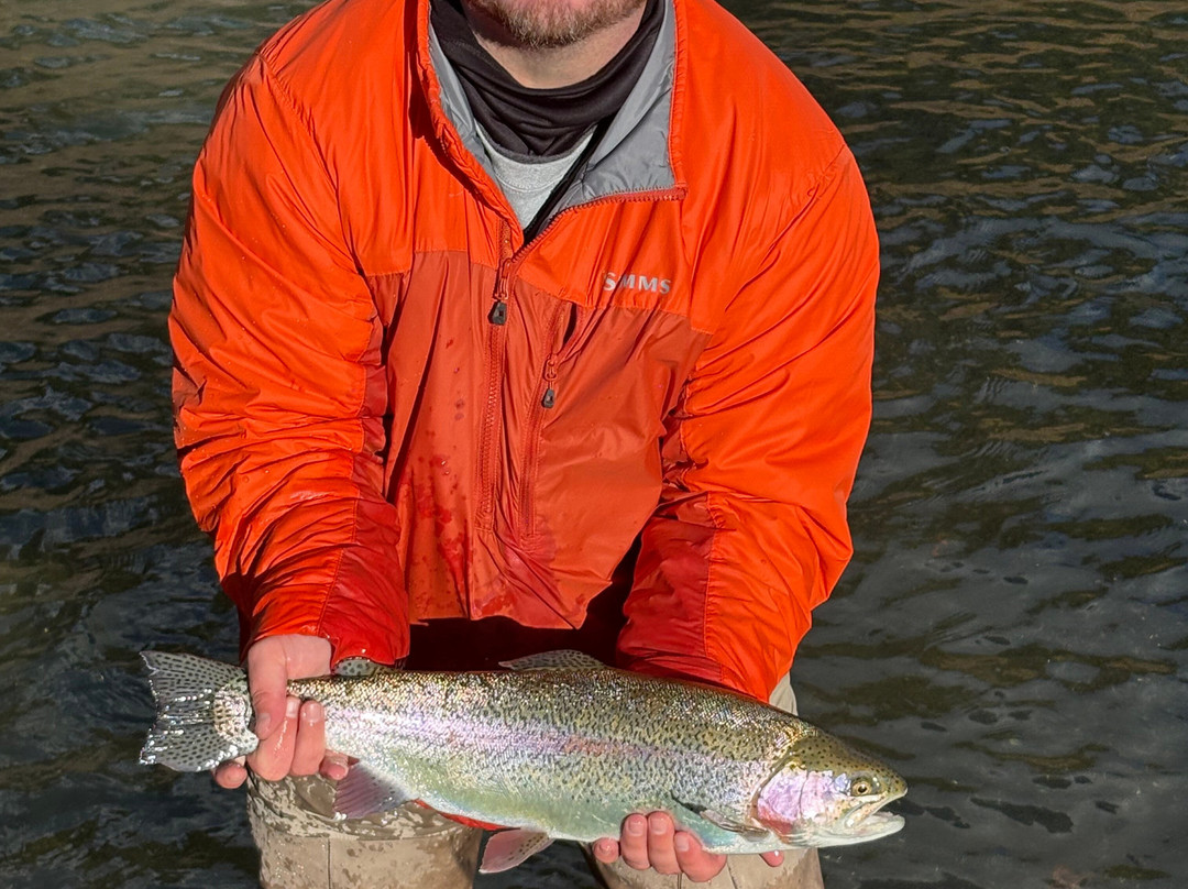 Minturn Anglers Fly Fishing-韦尔必去景点