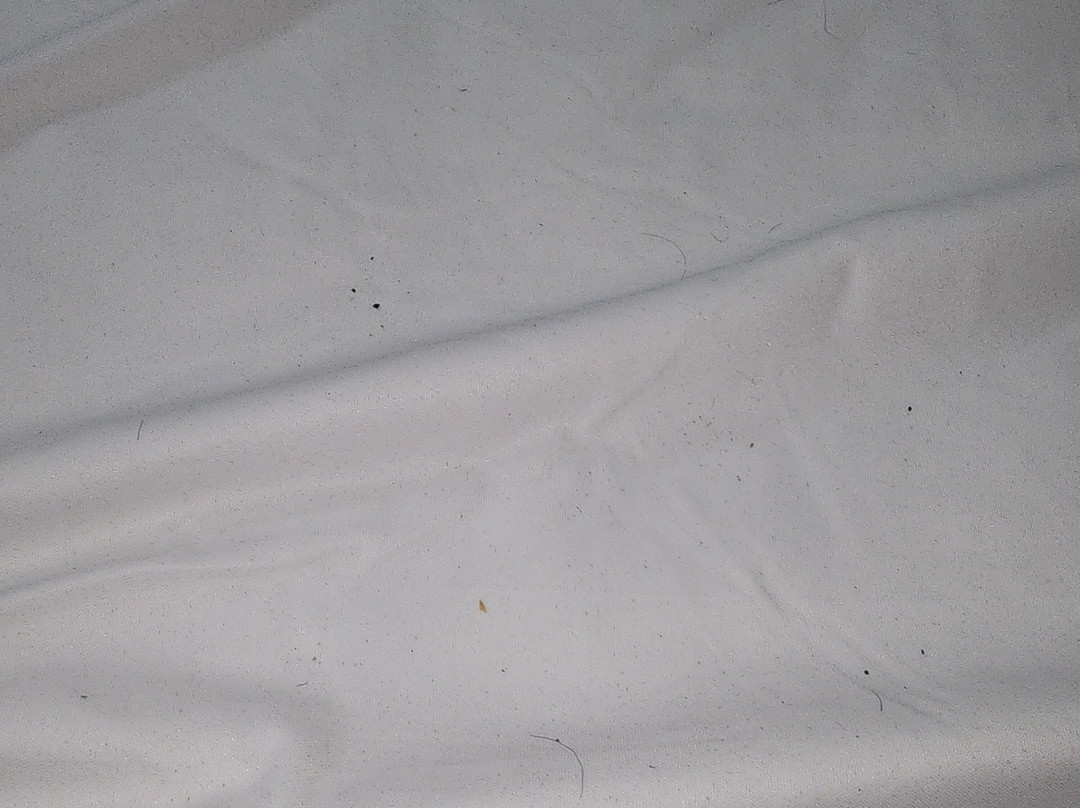 Hyatt Place Birmingham Hoover主图