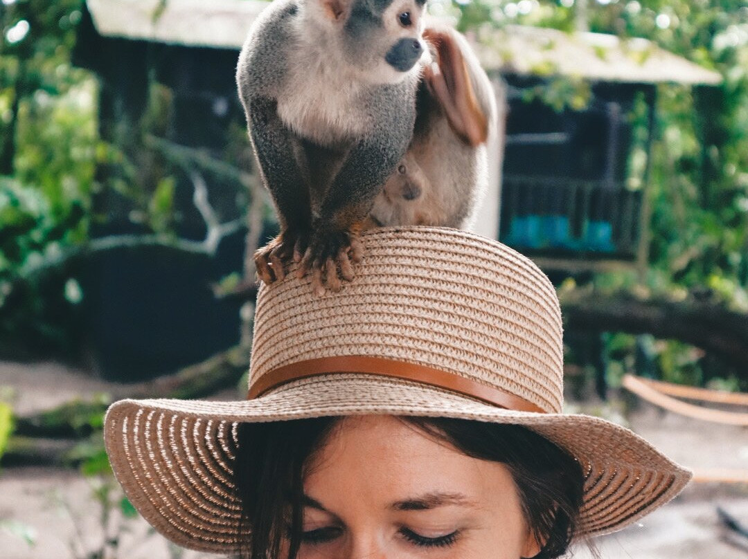 Amazonas Go - Numae Experience-莱蒂西亚必去景点