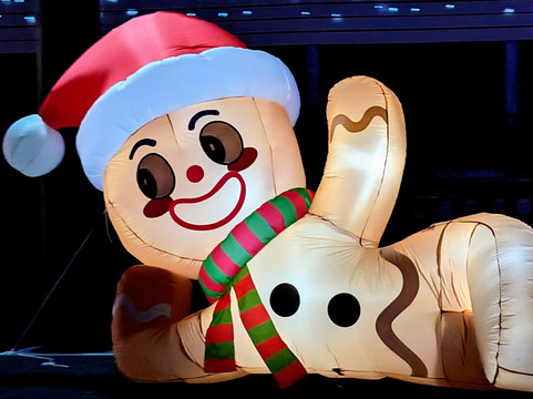 Beachcomber Charters-黄金海岸必去景点